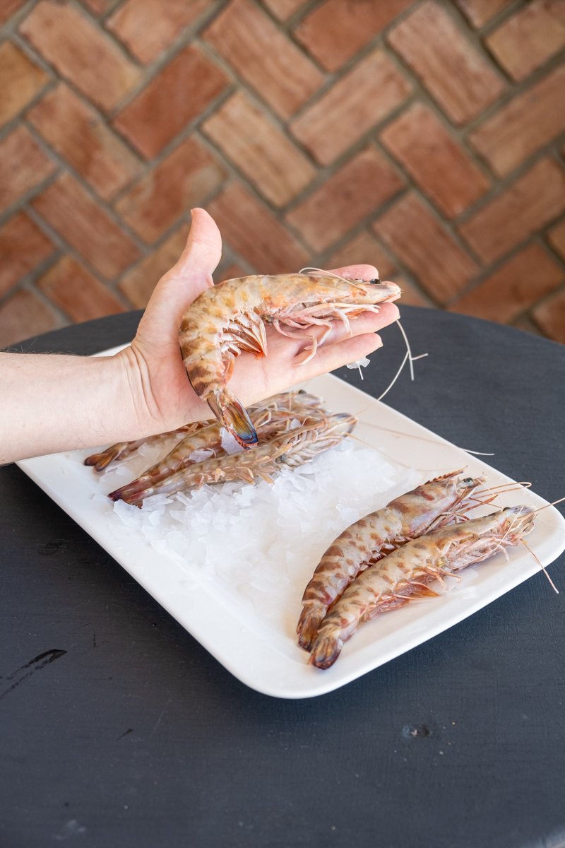 Langostinos de Sanlúcar